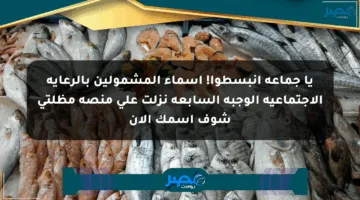 يا جماعة انبسطوا! أسماء المشمولين بالرعاية الاجتماعية الوجبة السابعة نزلت على منصة مظلتي شوف اسمك الآن